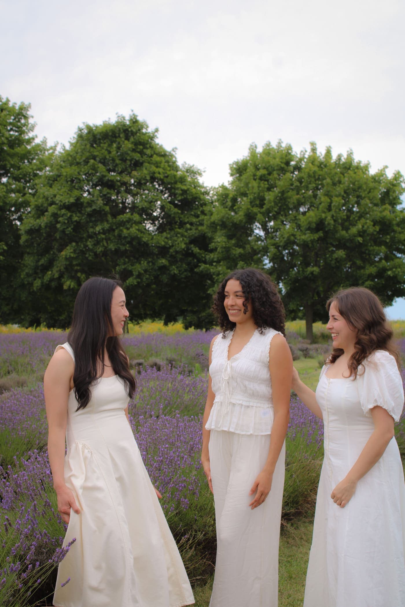 The studio talking together among the lavender